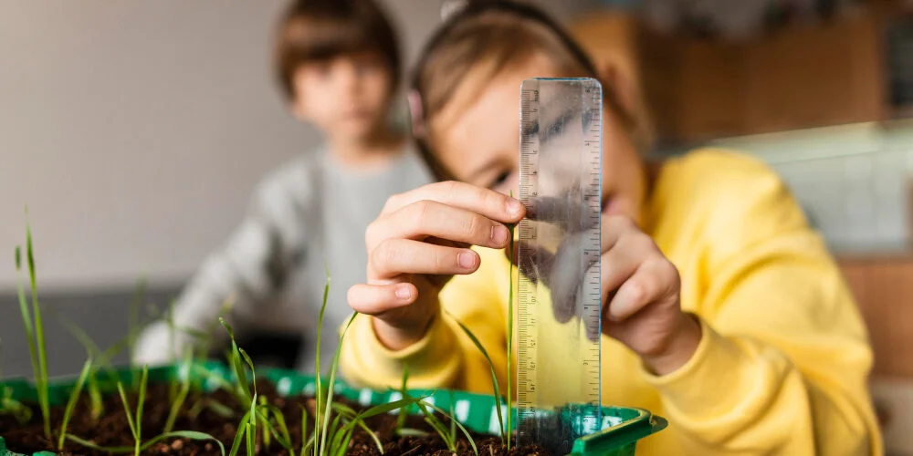 بناء غد مستدام من خلال تعليم العلوم والتكنولوجيا والهندسة والرياضيات STEM